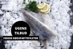 UGENS TILBUD FERSKE RØDSPÆTTEFILETER